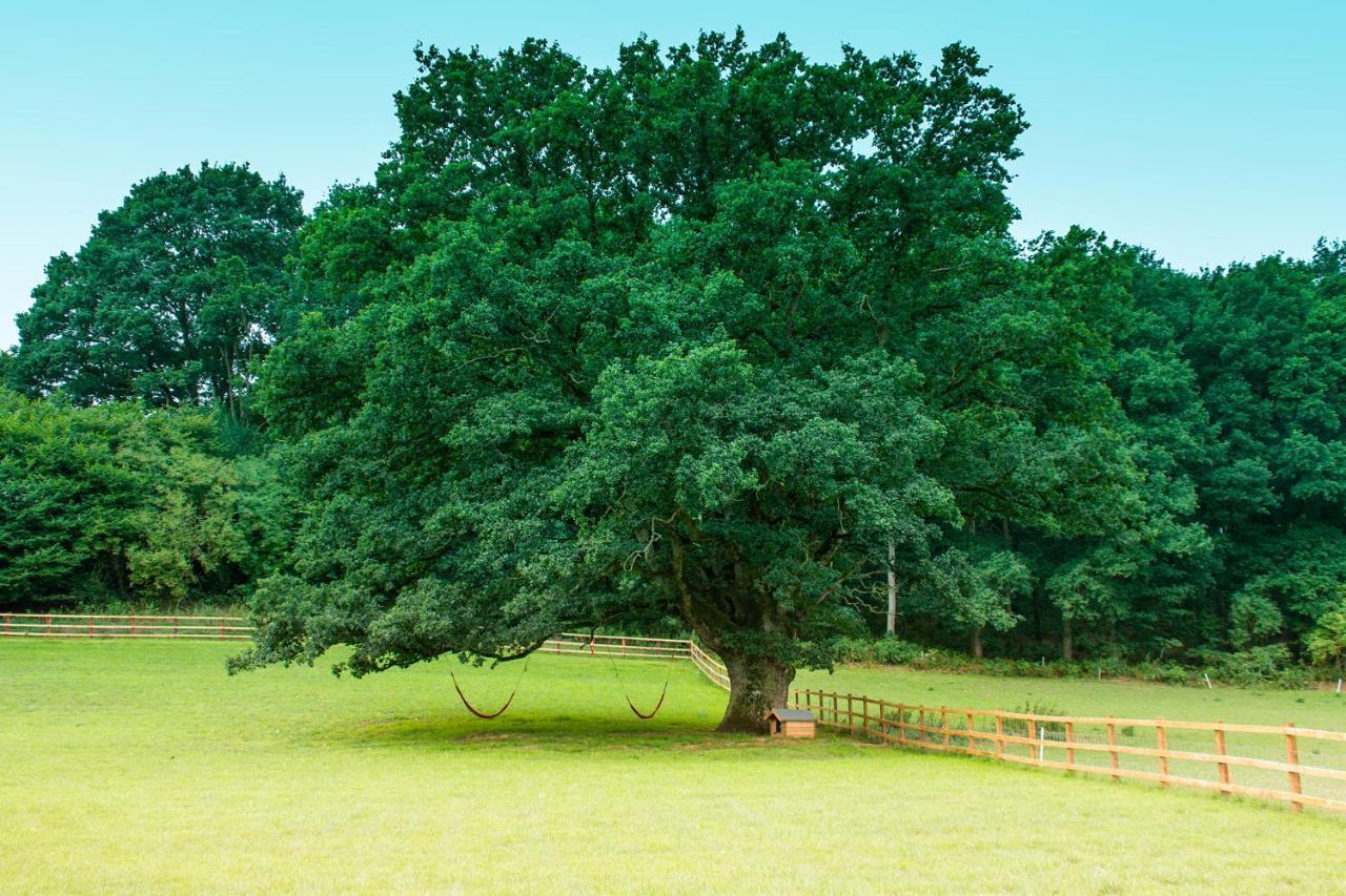 Hidden Wood Glamping And The Hideaway Cabin Warminster Exterior photo
